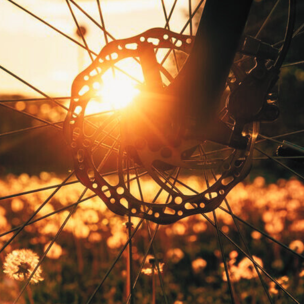 How to Choose the Perfect Bikepacking Setup: Expert Tips and Recommendation